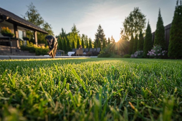 luba3-awd3000-text-026